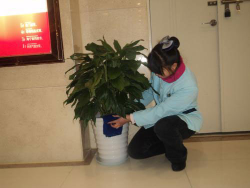 酒店保潔托管